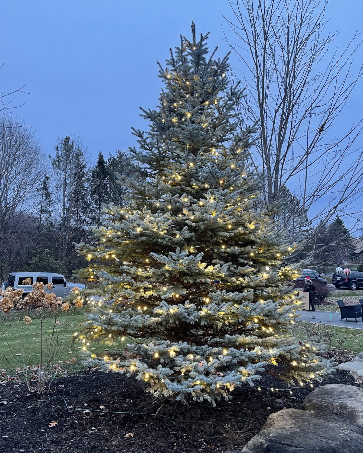 Copy of IMG_1816_(1)